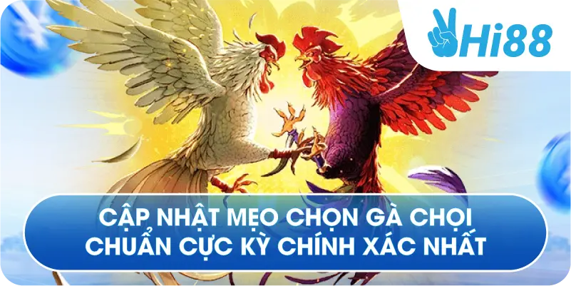 Cập nhật mẹo chọn gà chọi chuẩn cực kỳ chính xác nhất