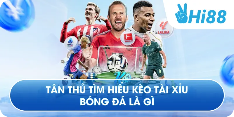 Tân thủ tìm hiểu kèo tài xỉu bóng đá là gì